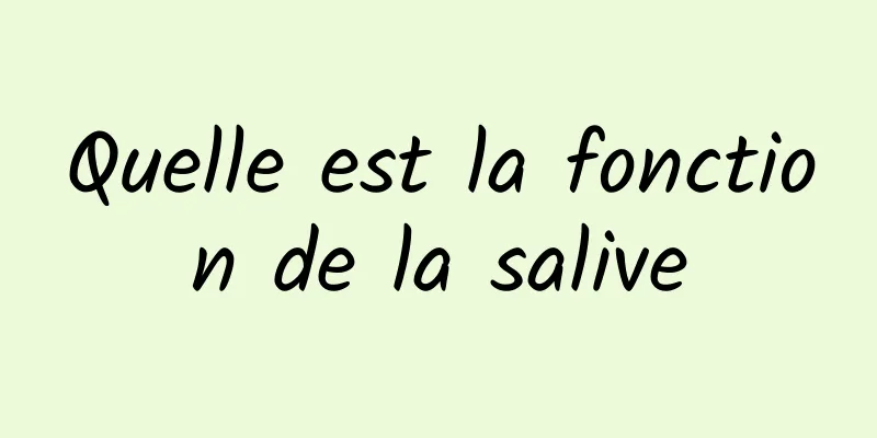 Quelle est la fonction de la salive