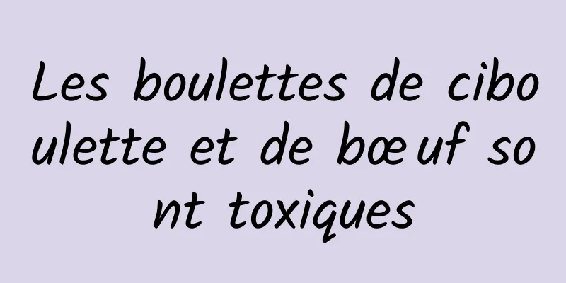 Les boulettes de ciboulette et de bœuf sont toxiques