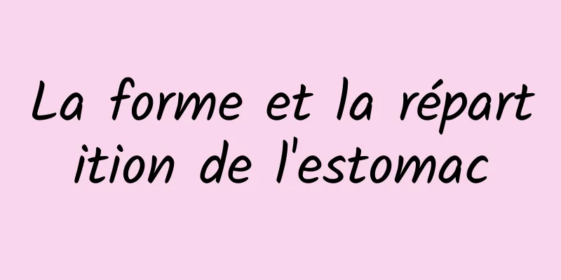 La forme et la répartition de l'estomac