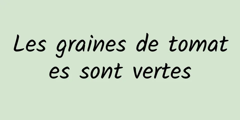 Les graines de tomates sont vertes