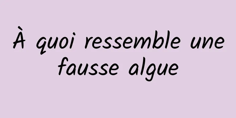 À quoi ressemble une fausse algue 