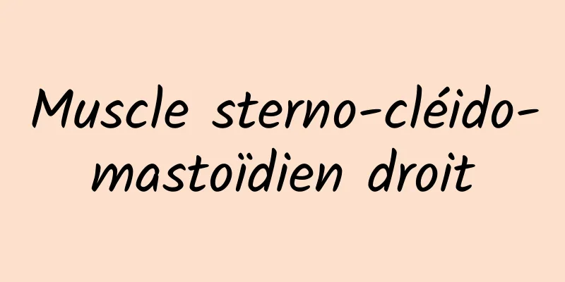 Muscle sterno-cléido-mastoïdien droit