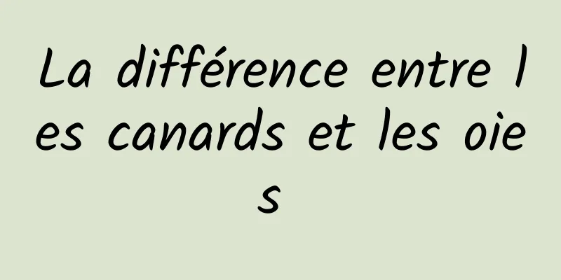 La différence entre les canards et les oies 