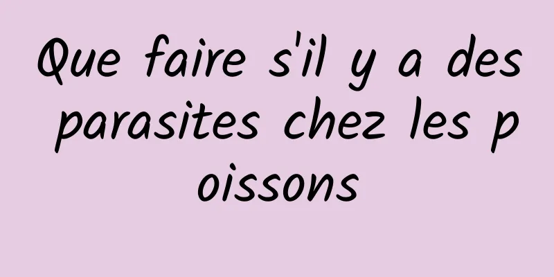Que faire s'il y a des parasites chez les poissons