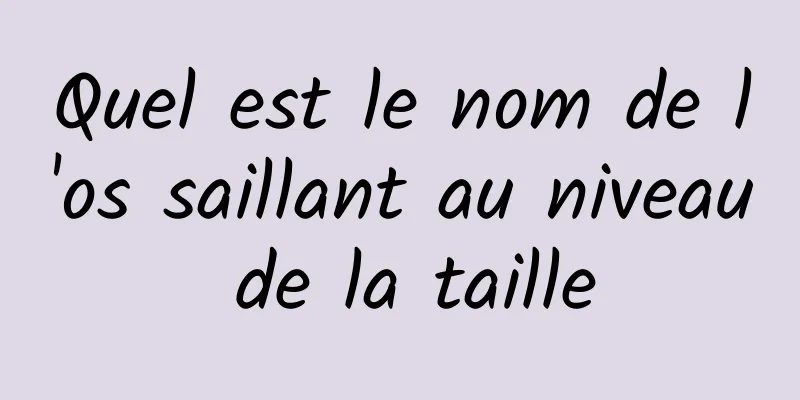 Quel est le nom de l'os saillant au niveau de la taille