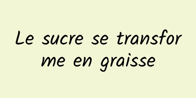 Le sucre se transforme en graisse
