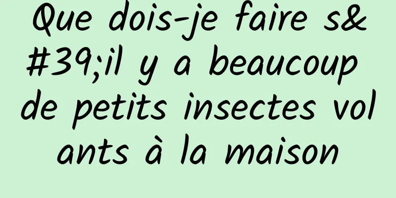 Que dois-je faire s'il y a beaucoup de petits insectes volants à la maison