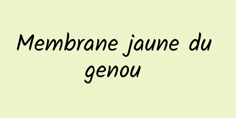 Membrane jaune du genou 