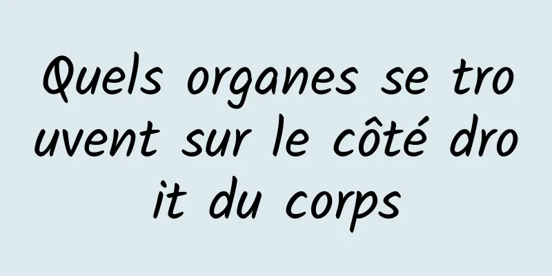 Quels organes se trouvent sur le côté droit du corps