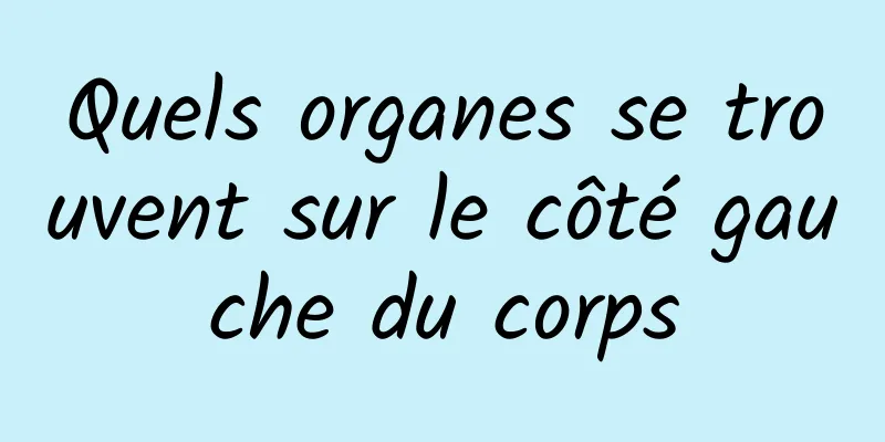 Quels organes se trouvent sur le côté gauche du corps