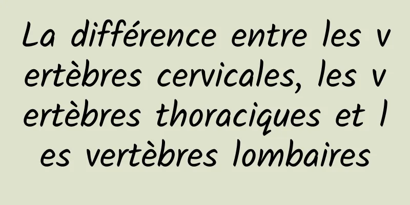 La différence entre les vertèbres cervicales, les vertèbres thoraciques et les vertèbres lombaires