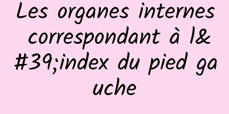 Les organes internes correspondant à l'index du pied gauche