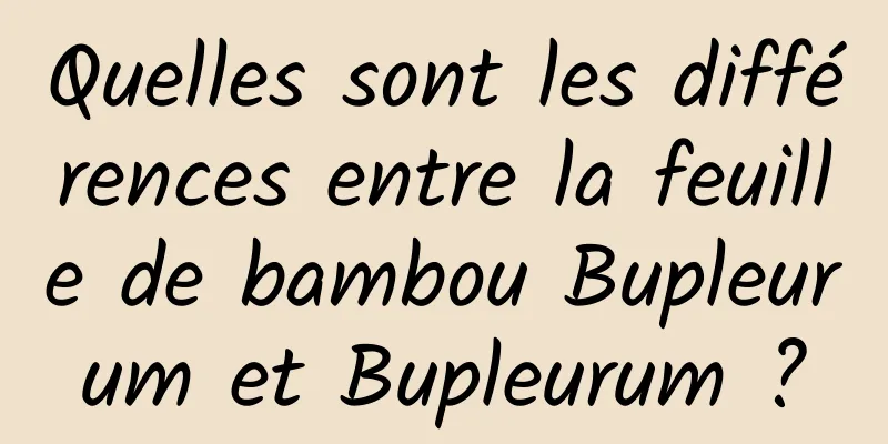Quelles sont les différences entre la feuille de bambou Bupleurum et Bupleurum ?