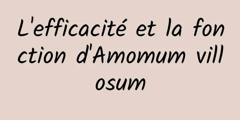 L'efficacité et la fonction d'Amomum villosum