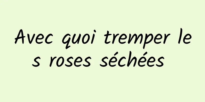 Avec quoi tremper les roses séchées 