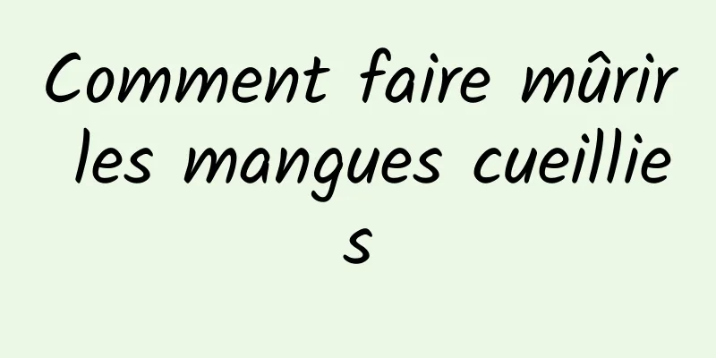 Comment faire mûrir les mangues cueillies