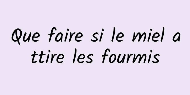 Que faire si le miel attire les fourmis