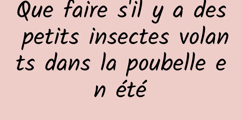 Que faire s'il y a des petits insectes volants dans la poubelle en été