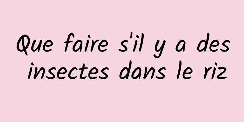 Que faire s'il y a des insectes dans le riz
