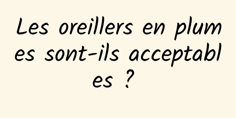 Les oreillers en plumes sont-ils acceptables ? 