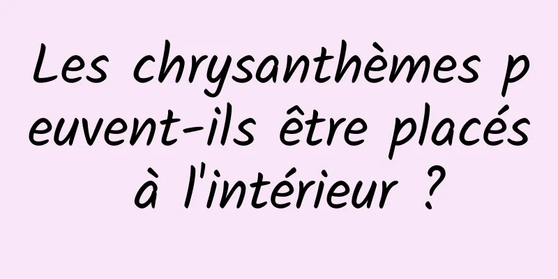 Les chrysanthèmes peuvent-ils être placés à l'intérieur ?