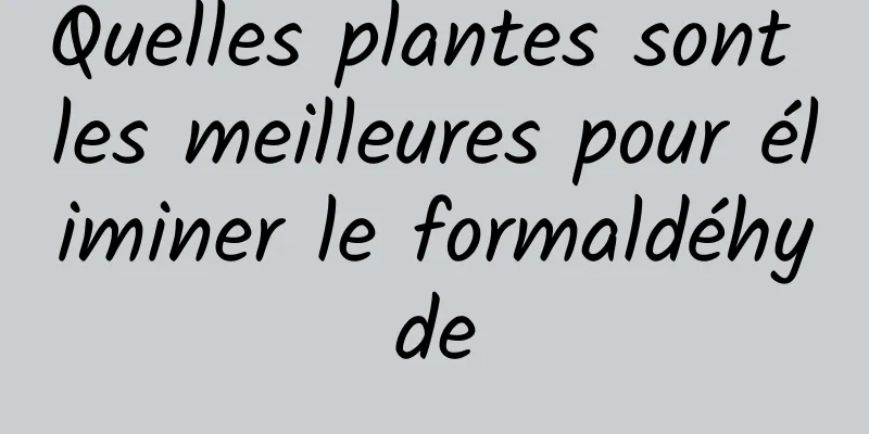 Quelles plantes sont les meilleures pour éliminer le formaldéhyde