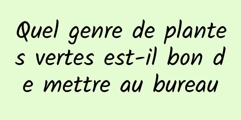 Quel genre de plantes vertes est-il bon de mettre au bureau