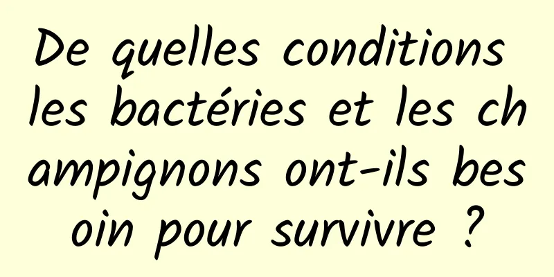 De quelles conditions les bactéries et les champignons ont-ils besoin pour survivre ?
