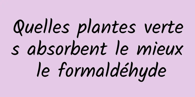 Quelles plantes vertes absorbent le mieux le formaldéhyde