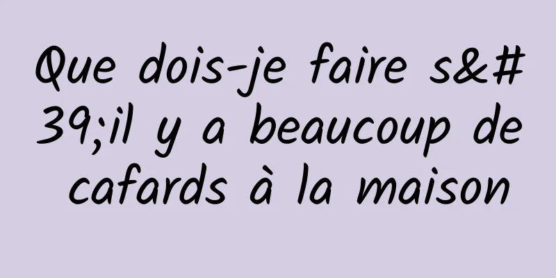 Que dois-je faire s'il y a beaucoup de cafards à la maison