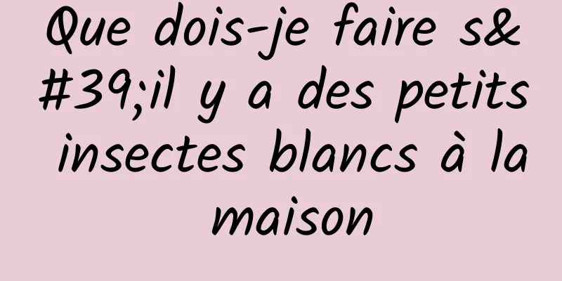Que dois-je faire s'il y a des petits insectes blancs à la maison