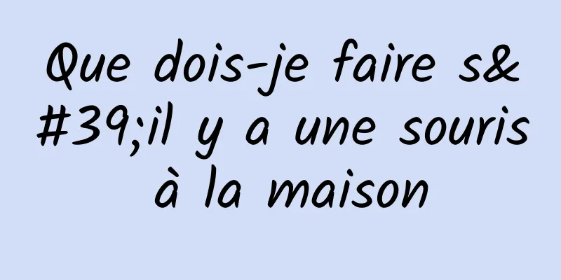 Que dois-je faire s'il y a une souris à la maison