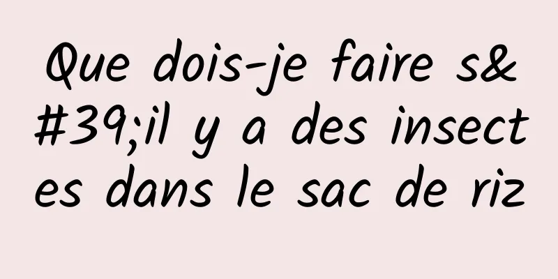 Que dois-je faire s'il y a des insectes dans le sac de riz