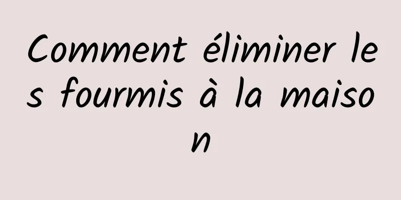 Comment éliminer les fourmis à la maison