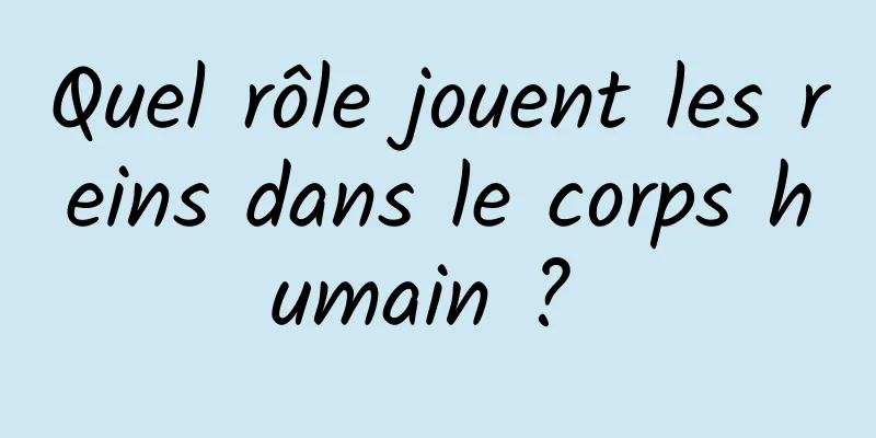 Quel rôle jouent les reins dans le corps humain ? 