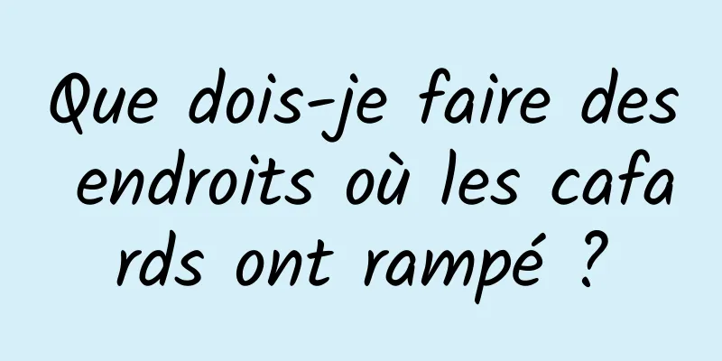 Que dois-je faire des endroits où les cafards ont rampé ?