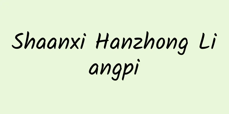 Shaanxi Hanzhong Liangpi