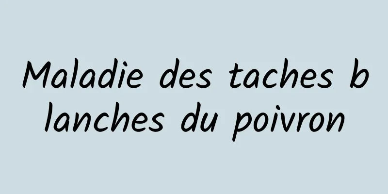 Maladie des taches blanches du poivron