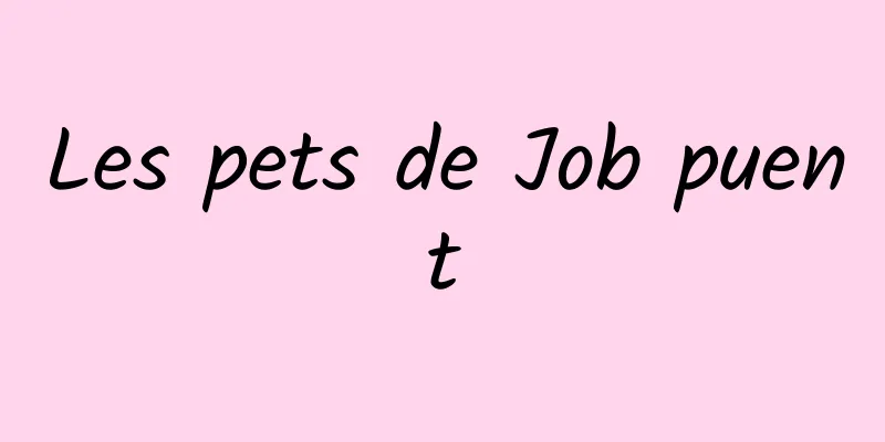 Les pets de Job puent