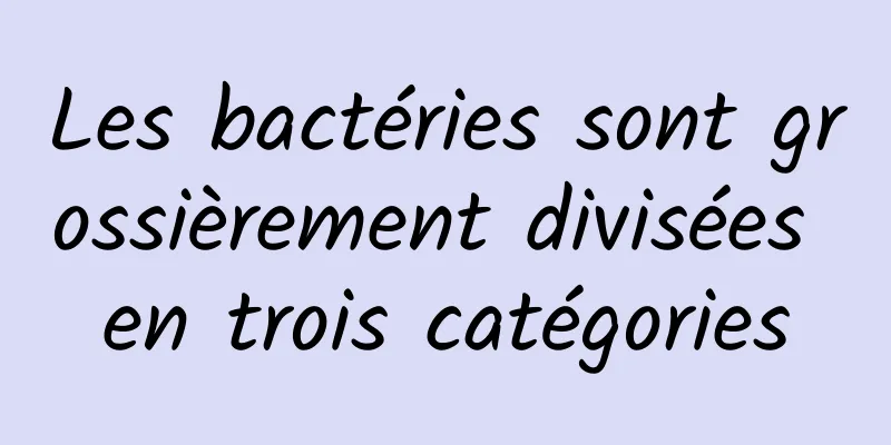 Les bactéries sont grossièrement divisées en trois catégories