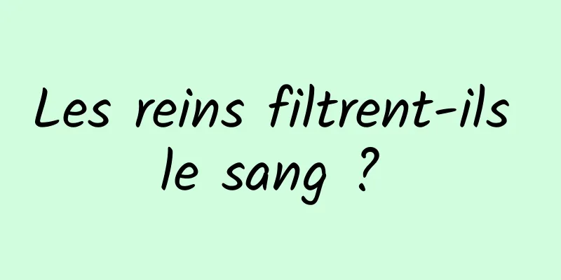 Les reins filtrent-ils le sang ? 