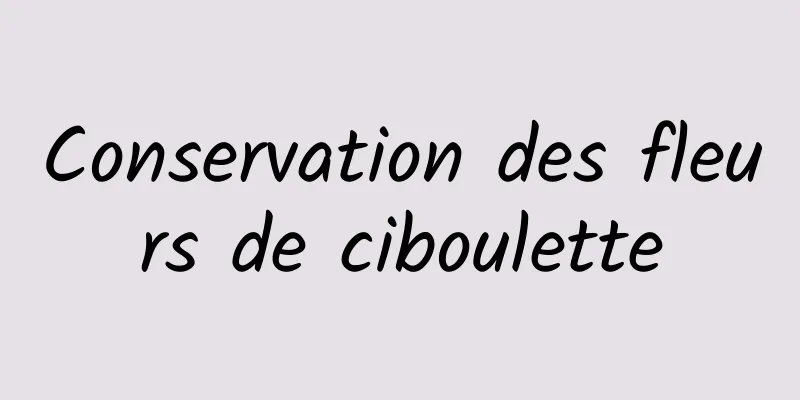 Conservation des fleurs de ciboulette
