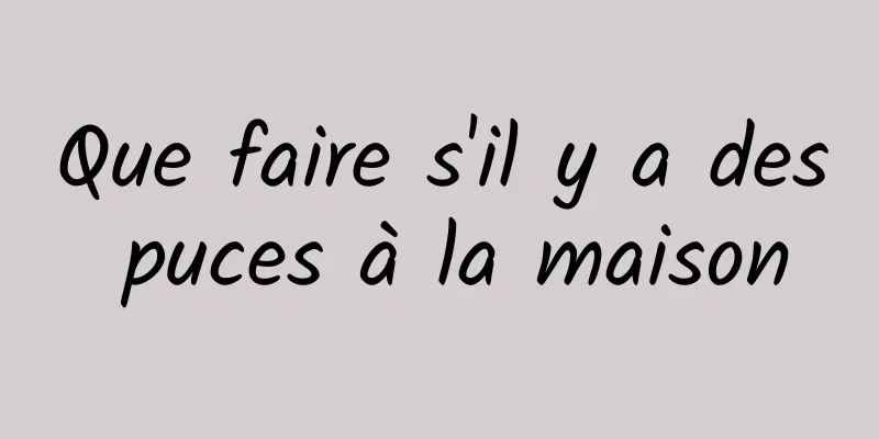 Que faire s'il y a des puces à la maison