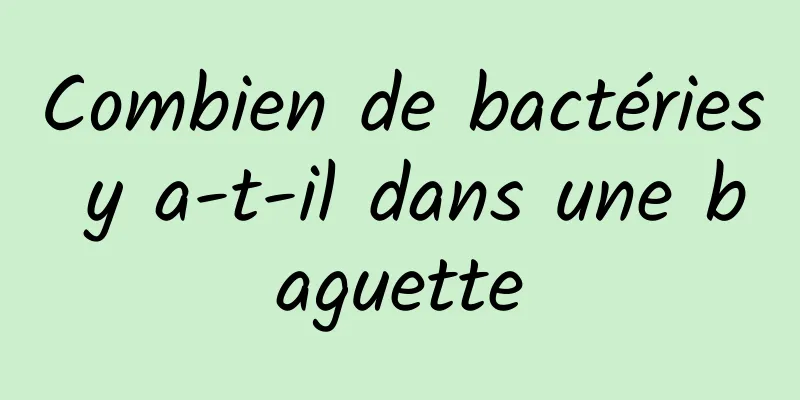 Combien de bactéries y a-t-il dans une baguette
