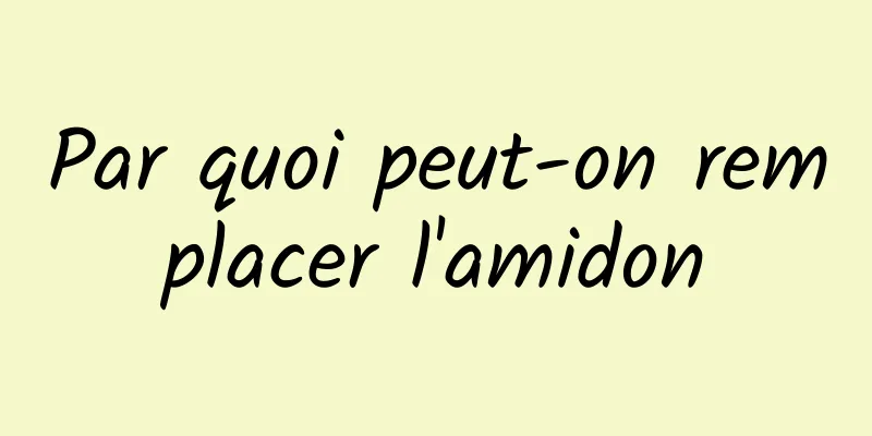Par quoi peut-on remplacer l'amidon