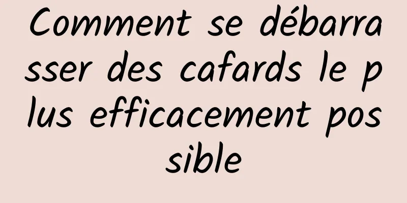Comment se débarrasser des cafards le plus efficacement possible
