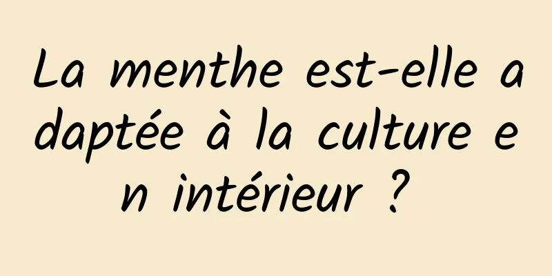La menthe est-elle adaptée à la culture en intérieur ? 