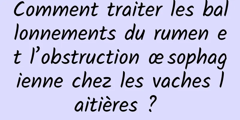 Comment traiter les ballonnements du rumen et l’obstruction œsophagienne chez les vaches laitières ? 