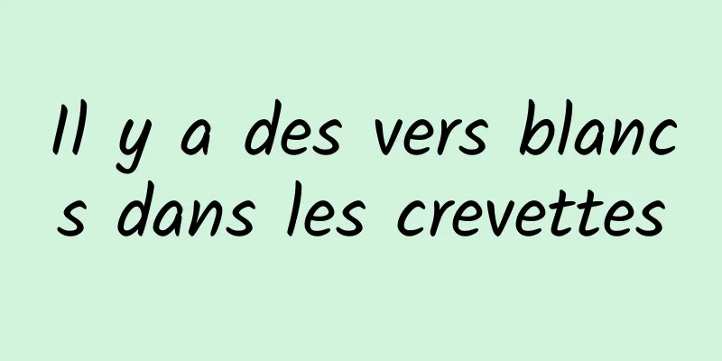 Il y a des vers blancs dans les crevettes