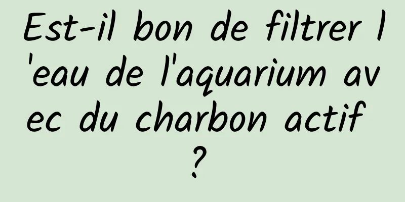 Est-il bon de filtrer l'eau de l'aquarium avec du charbon actif ? 